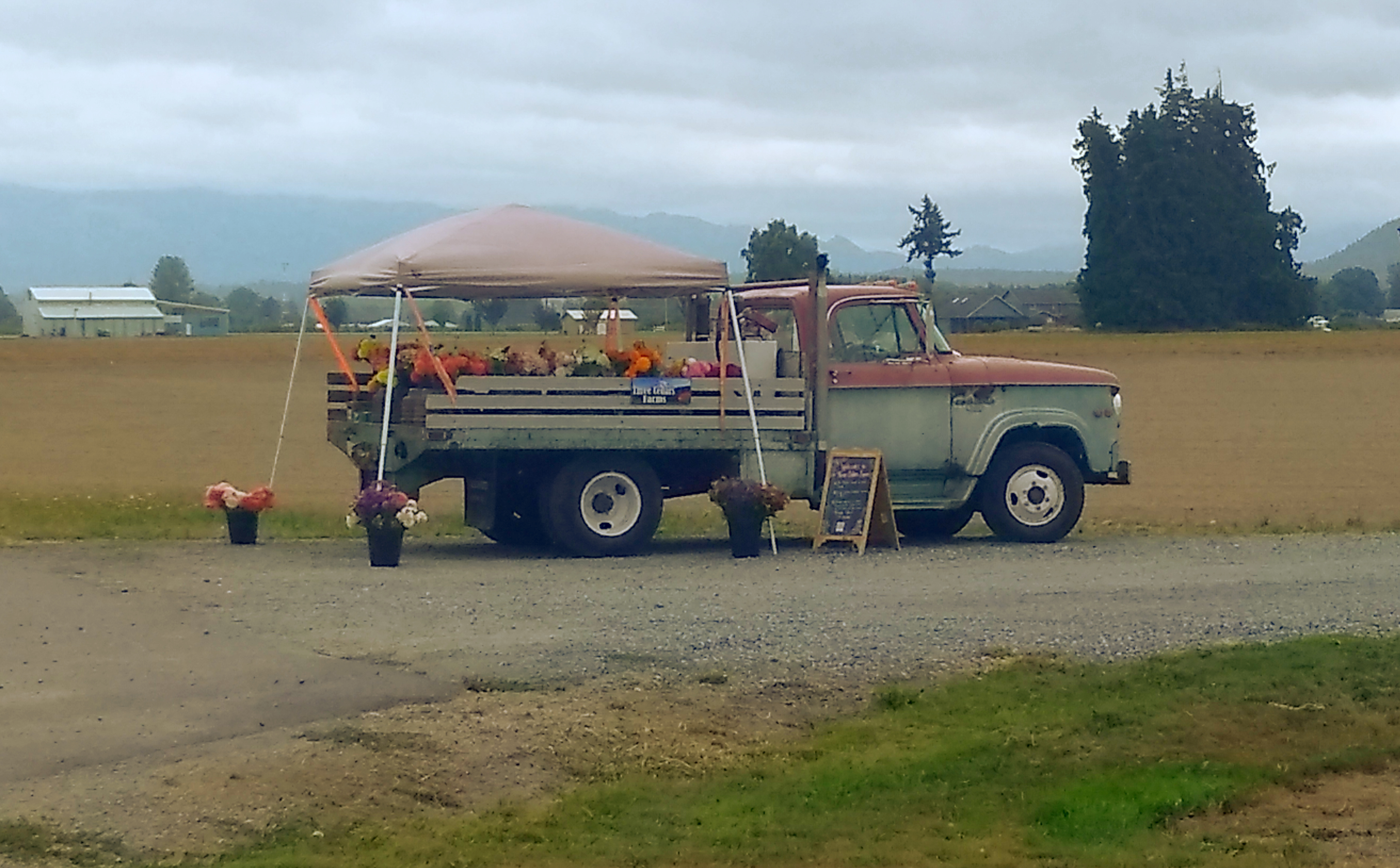 roadside-stand-flowers-e