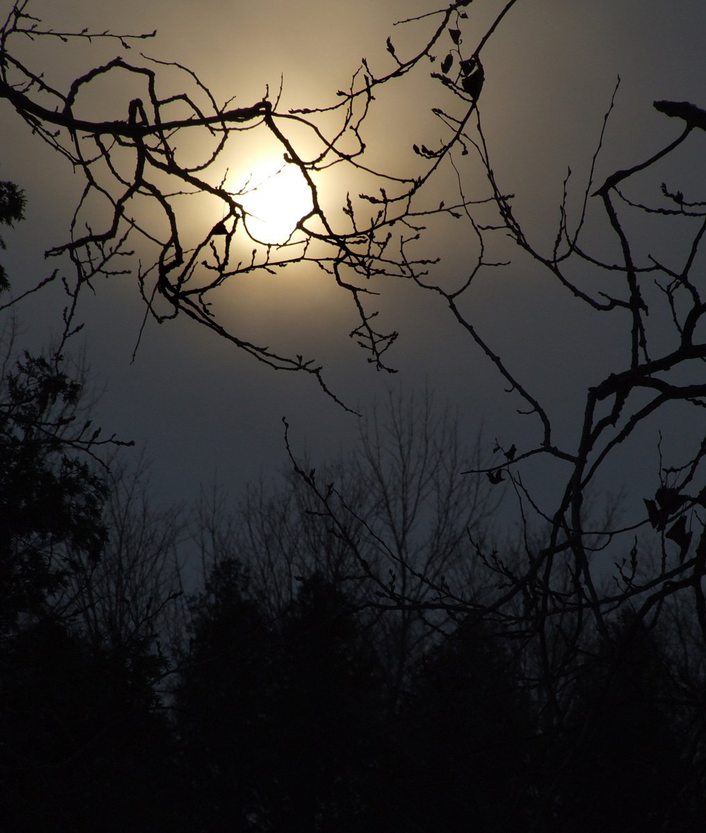 night