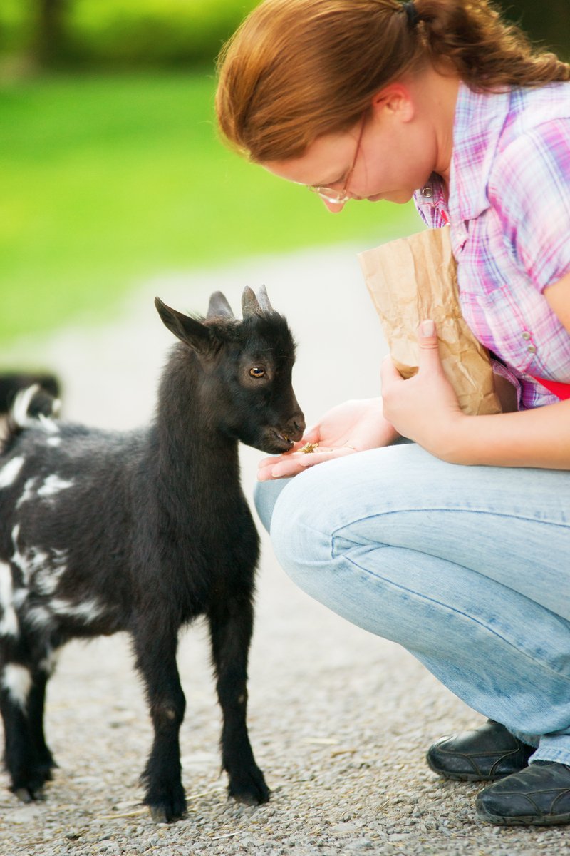 goat and woman